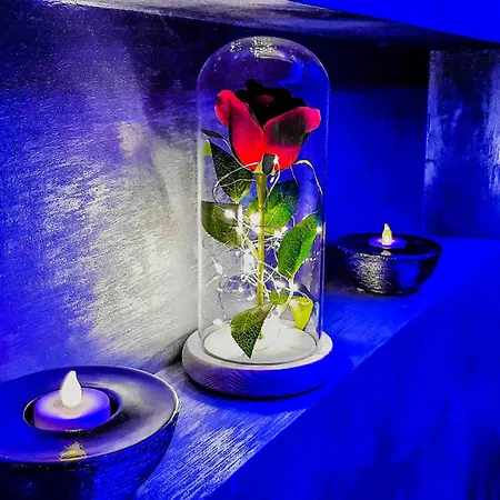 Romantique 4*